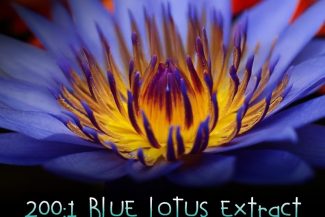 200:1 Blue Lotus Extract: Euphoria, Dream & Bliss Inducer.