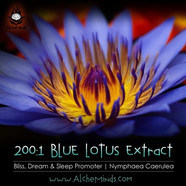 200:1 Blue Lotus Extract: Euphoria, Dream & Bliss Inducer.