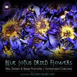 Blue Lotus Dried Flowers: Ecstatic, Hypnotic & Lucid Dream Promoter.
