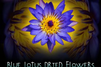 Blue Lotus Dried Flowers: Euphoria, Dream & Bliss Inducer.
