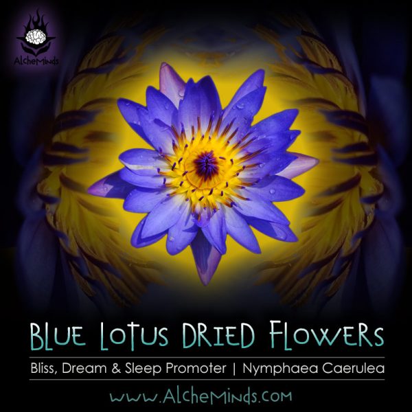 Blue Lotus Dried Flowers: Euphoria, Dream & Bliss Inducer.