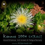 Kanna - Sceletium Tortuosum - Anti-Fatigue, Anti-Anxiety & Kratom Alternative