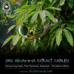 Akuamma Extract Capsules - Pain Remedy, Relaxing Herb & Kratom Enhancer - Picralima Nitida