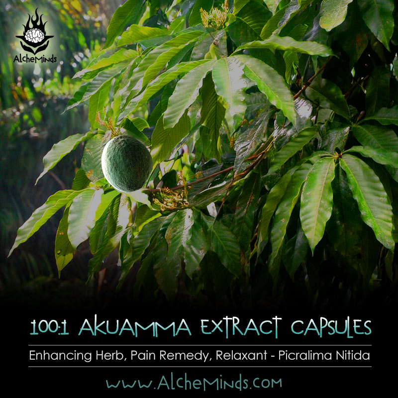 Akuamma Extract Capsules - Pain Remedy, Relaxing Herb & Kratom Enhancer - Picralima Nitida