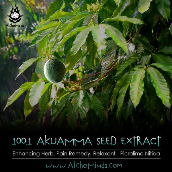 Akuamma Extract Capsules - Pain Remedy, Relaxing Herb & Kratom Enhancer - Picralima Nitida