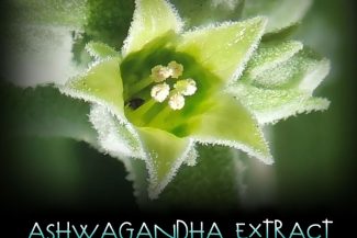 Ashwagandha - Adaptogen, Relaxant, Reset Kratom Tolerance