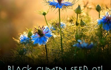 Black Seed Cumin Oil Kratom Booster & Withdrawal Aid