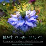 Black Seed Cumin Oil Kratom Potentiator & Quitting Aid