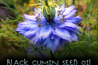 Black Seed Cumin Oil Kratom Potentiator & Quitting Aid