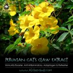 Peruvian Cat's Claw - Immunity Booster, Anti-Inflammatory, Kratom Tolerance Reducer.