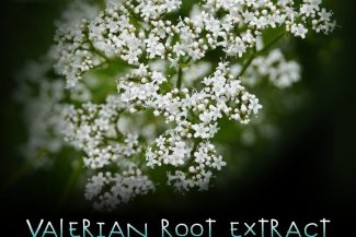 Valerian Root Extract - Insomnia & Anxiety Remedy