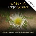 Kanna Extract - 100 x Concentration (Sceletium Tortuosum)
