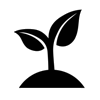 Ethnobotanicals