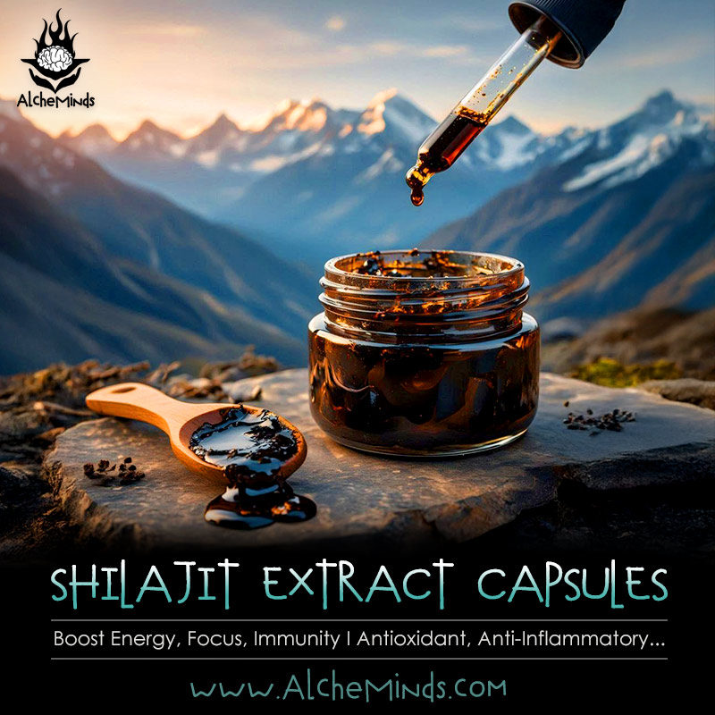 Shilajit Extract Capsules - Focus, Energy, Immunity Booster - 10,000 mg Shilajit Extract Capsules - Focus, Energy, Immunity Booster - 10,000 mg