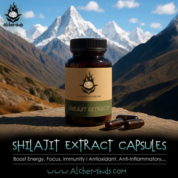 Shilajit Extract Capsules - Focus, Energy, Immunity Booster - 10,000 mg