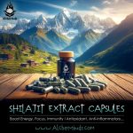 Shilajit Extract Capsules - Focus, Energy, Immunity Booster - 10,000 mg
